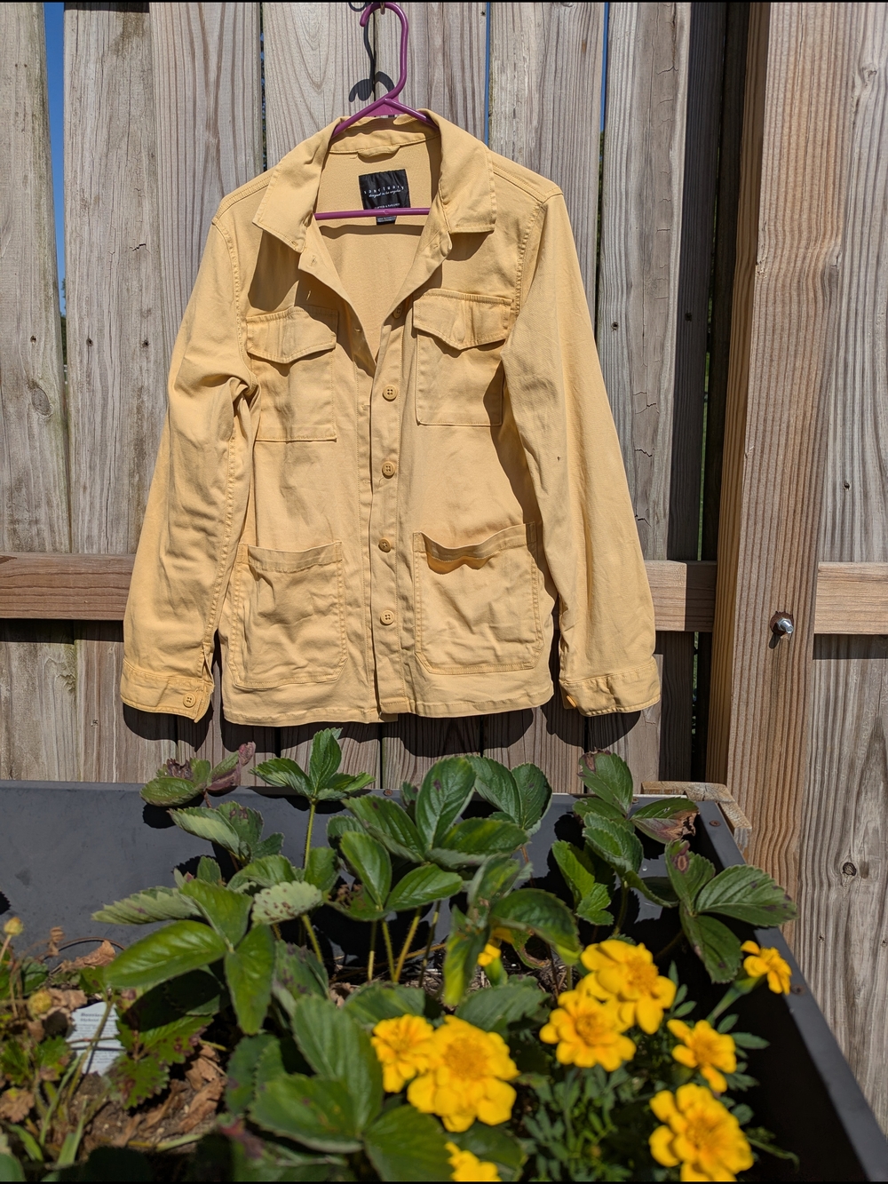 Sanctuary Yellow Utility Jacket with Front Pockets